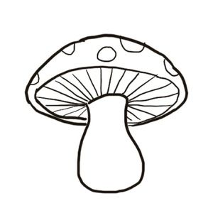 Meet your Posher, Ellie